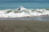 Deebo @ Wrights Beach