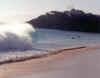 al_makena4.jpg (36675 bytes)